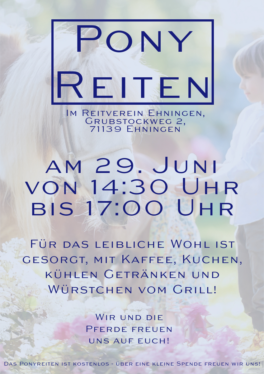 flyer pony reiten